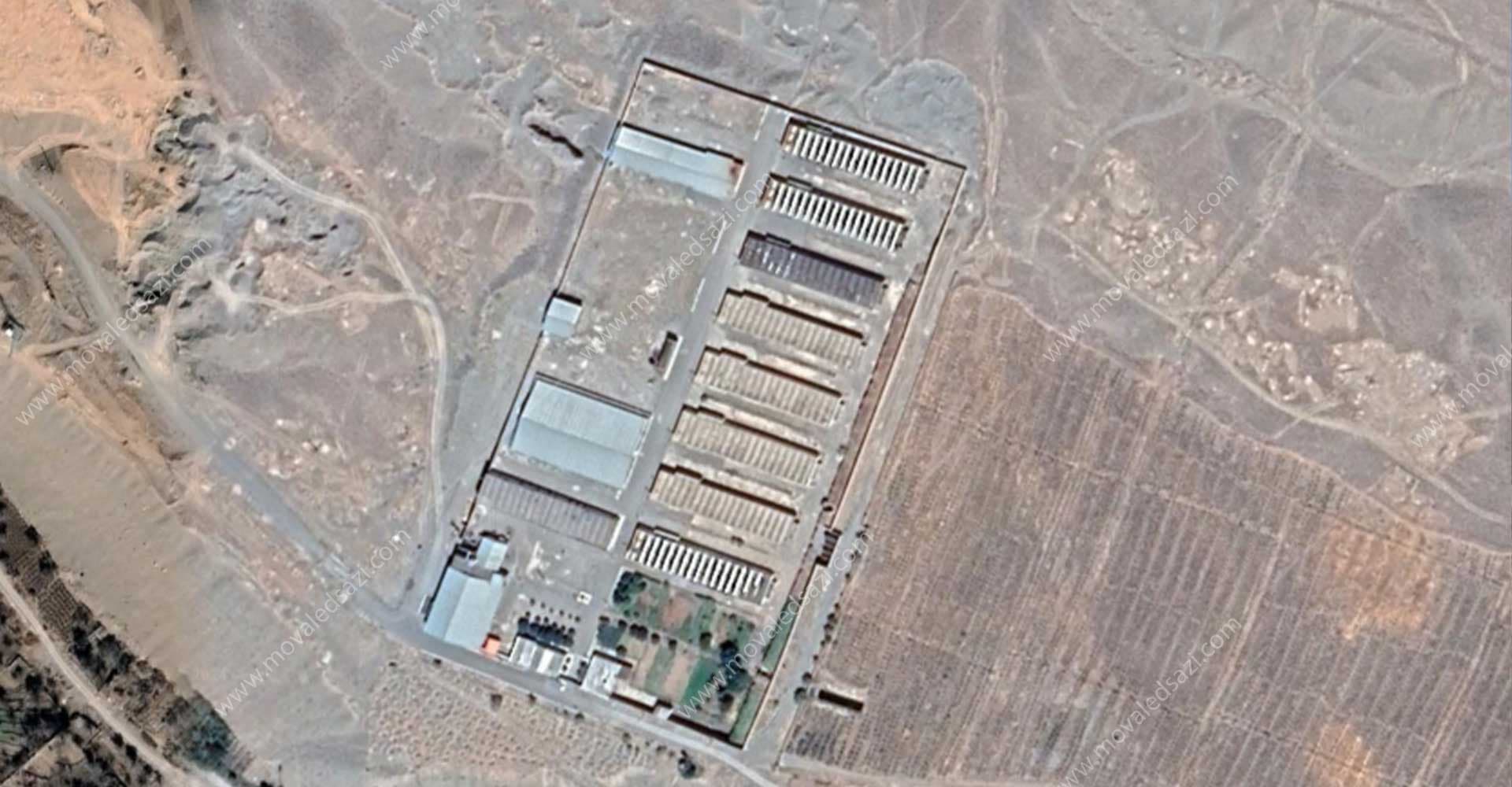 مرغ مادر درخشان