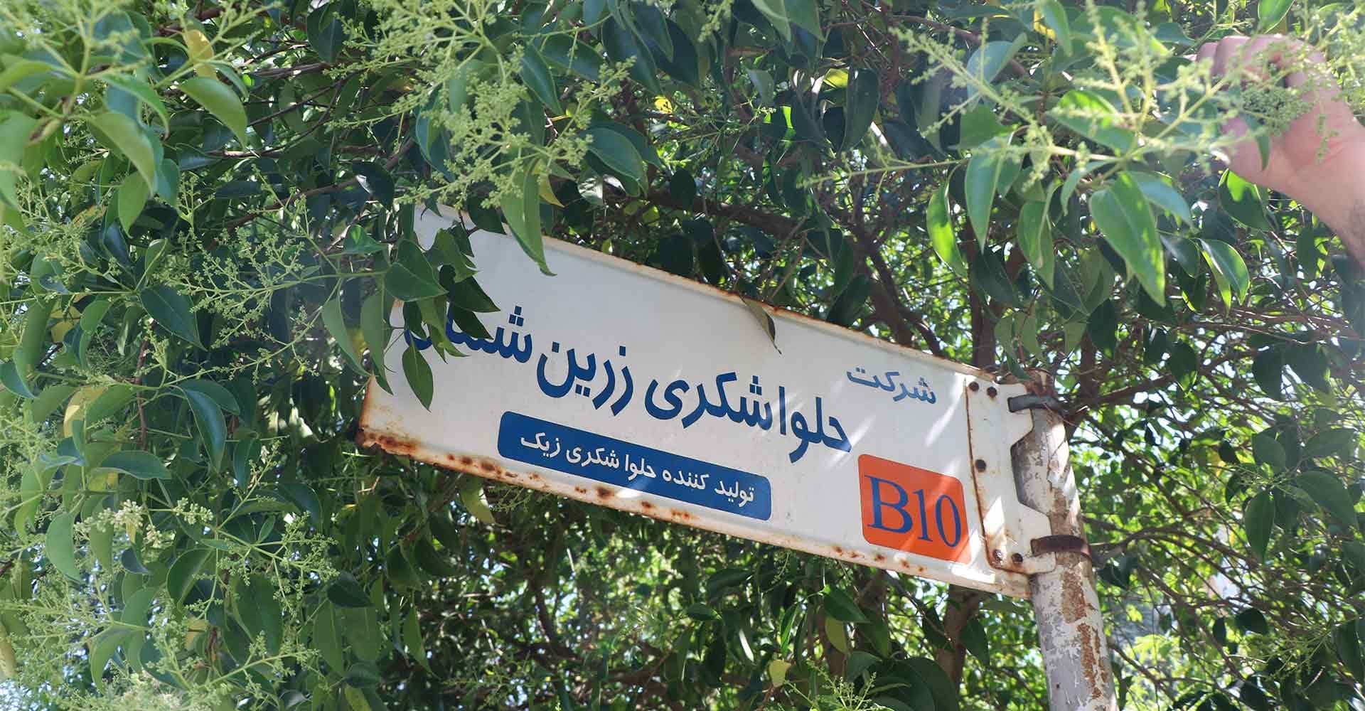 واحد صنعتی تولیدی حلواشکری زرین شناسه 1610