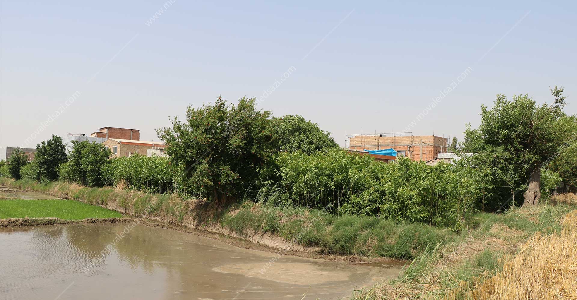 یک قطعه زمین در رامیان زینب آباد شناسه 2217