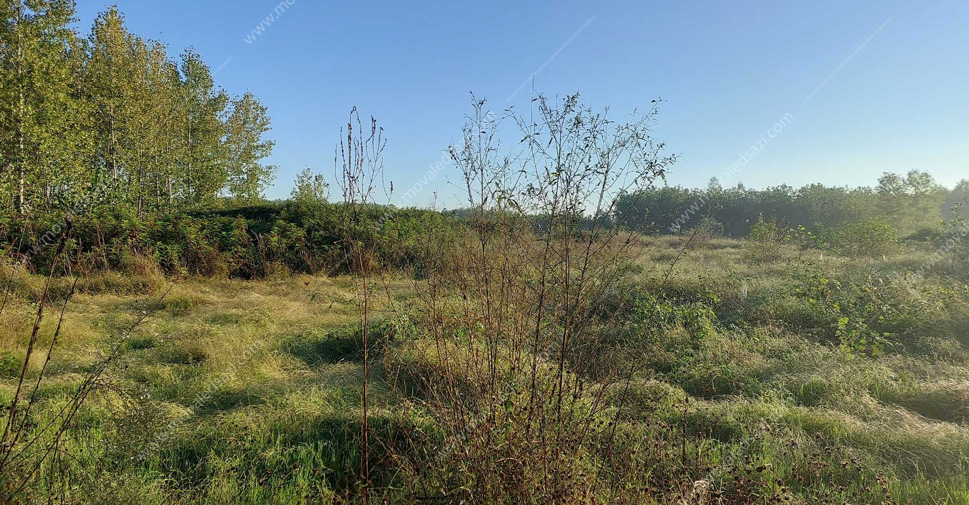 عرصه و اعیان زمین زراعی شناسه 2315