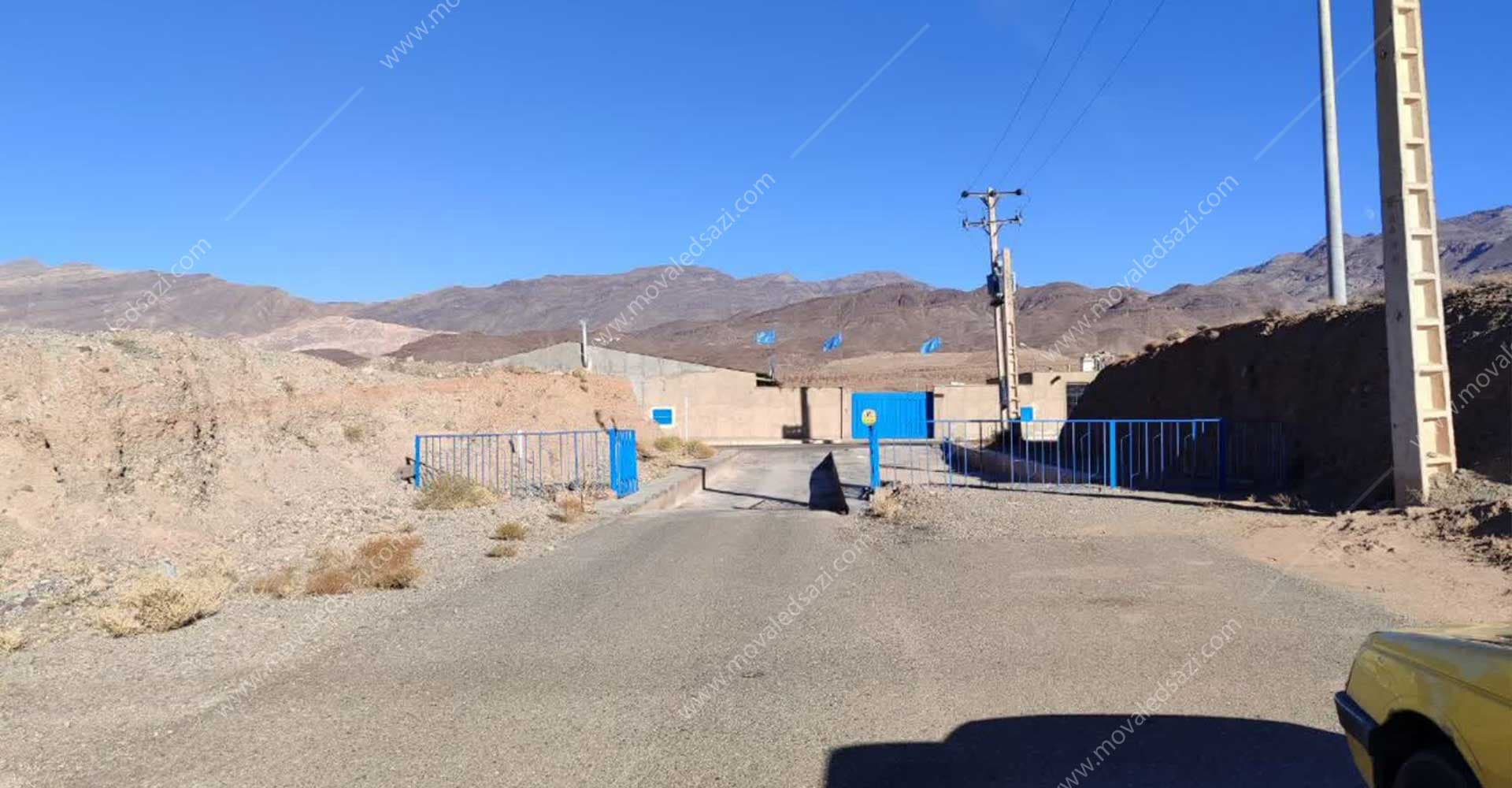 مرغ مادر درخشان