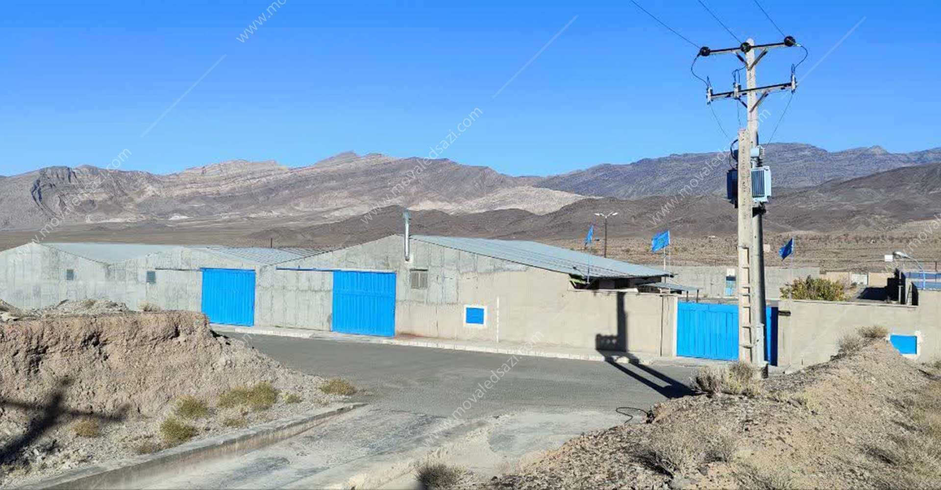 مرغ مادر درخشان