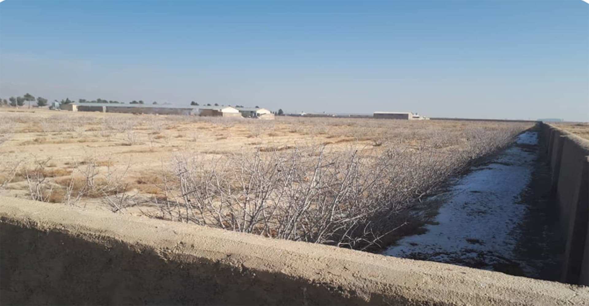 باغ مشجر دامغان(زمین مزروعی)